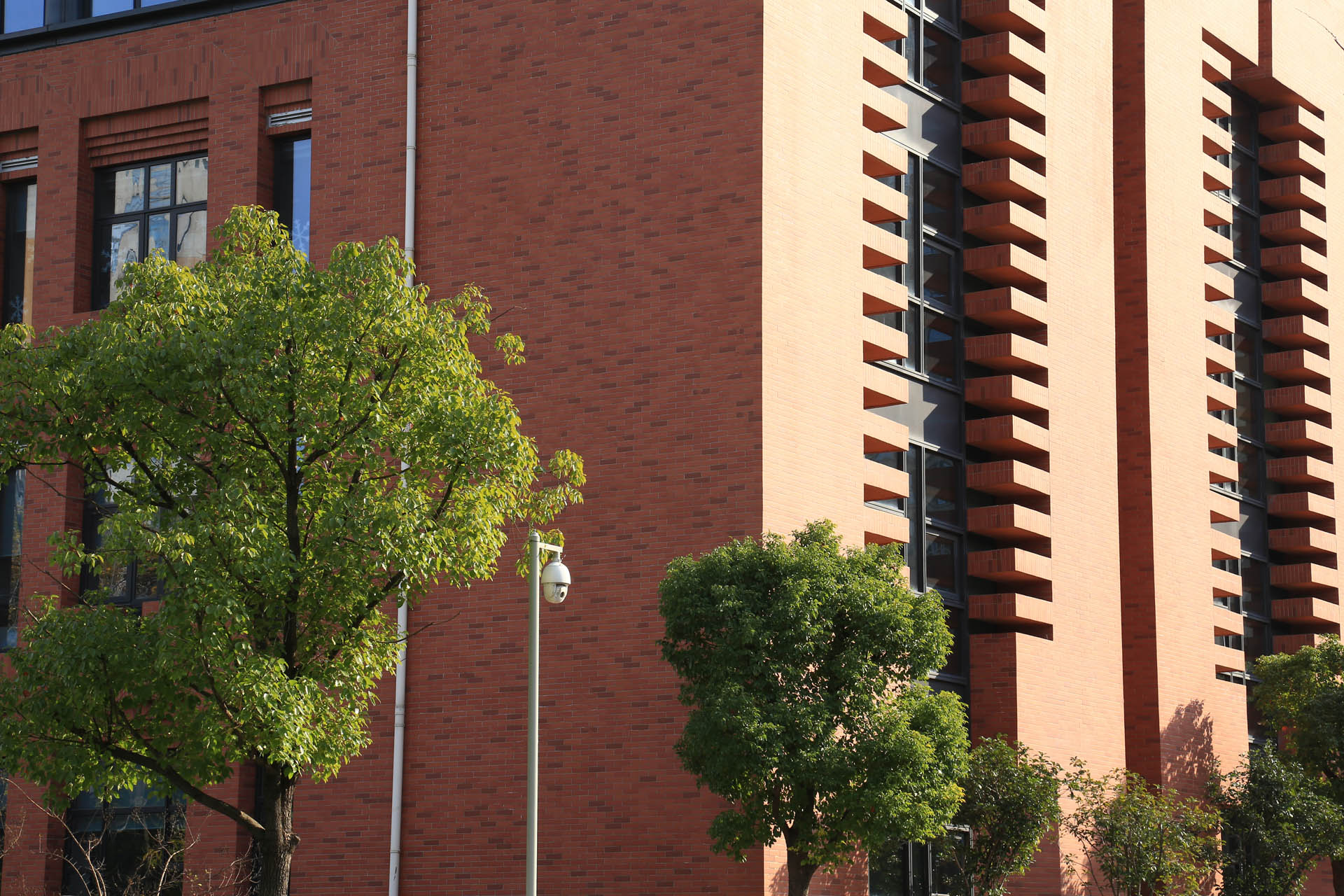 2015年杭州娃哈哈双语学校BM (27)