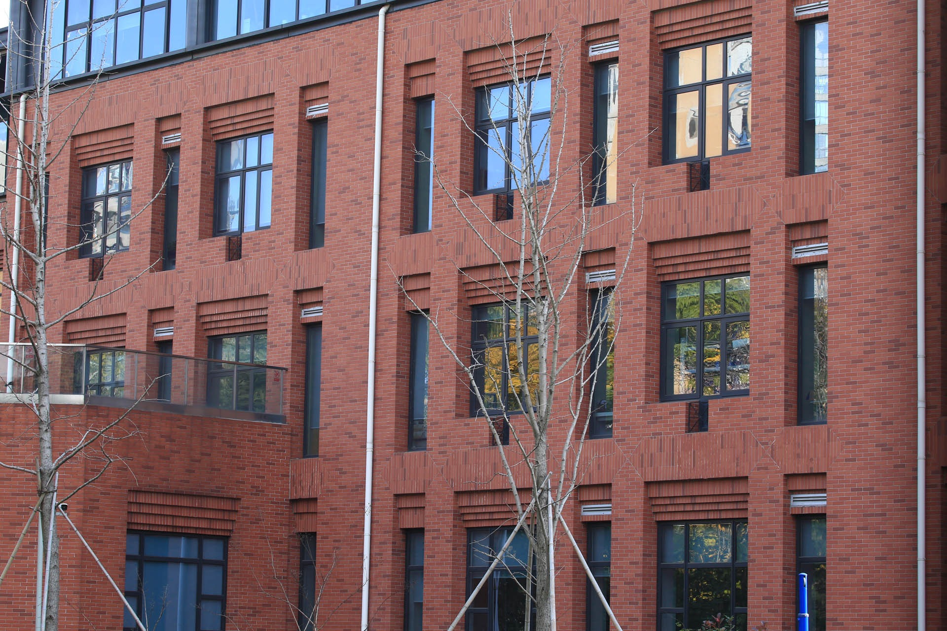 2015年杭州娃哈哈双语学校BM (18)