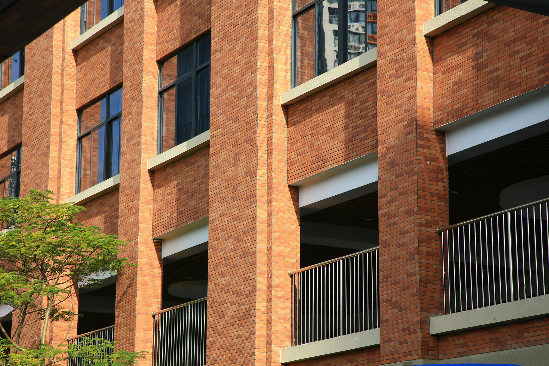 2021年深圳插花地香港大学深圳礼文学校EVG (2)