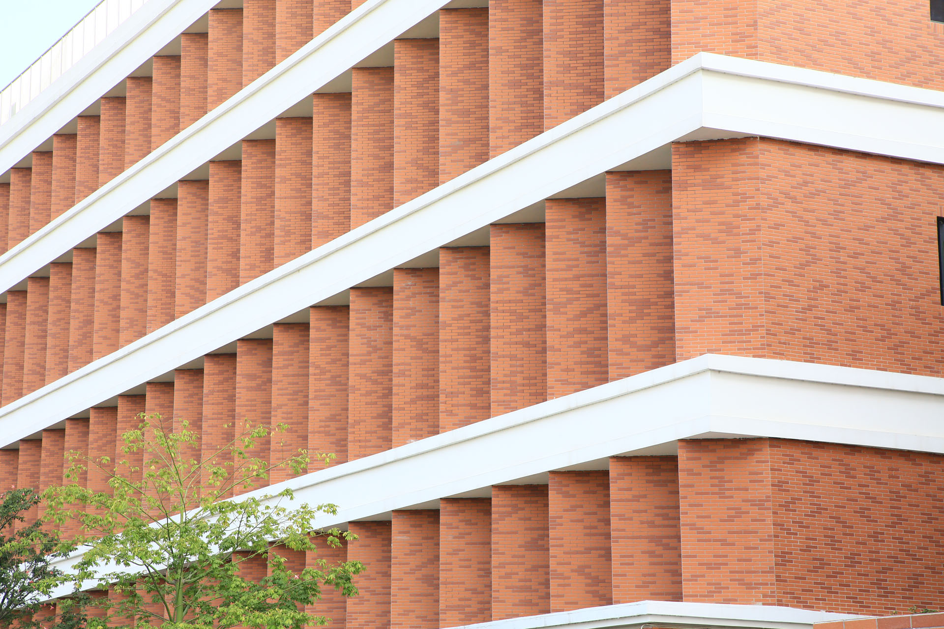 2023年东莞镇远学校SFF-56 (129)