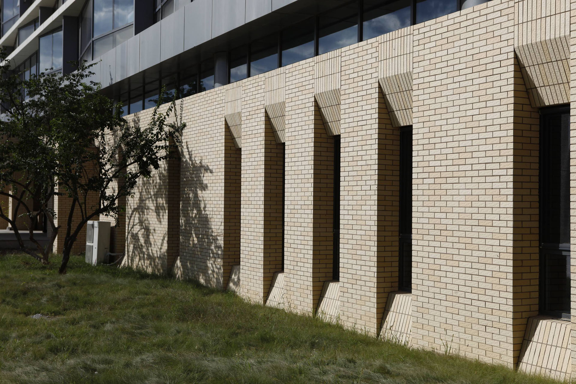 北京世桥药业ZB-8 (49)