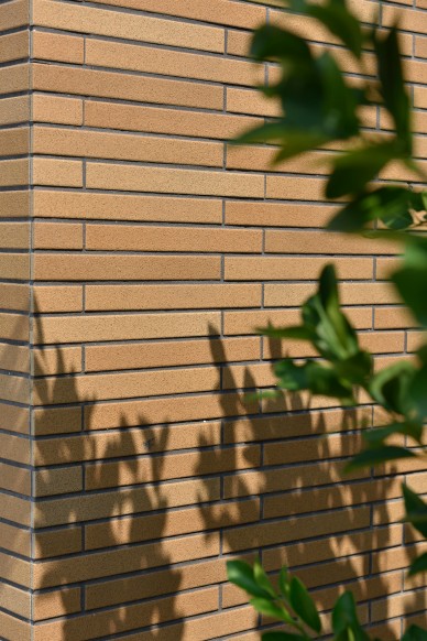 {info.field_group_lang.thumb4.post_other_value_format.alt[$k]}