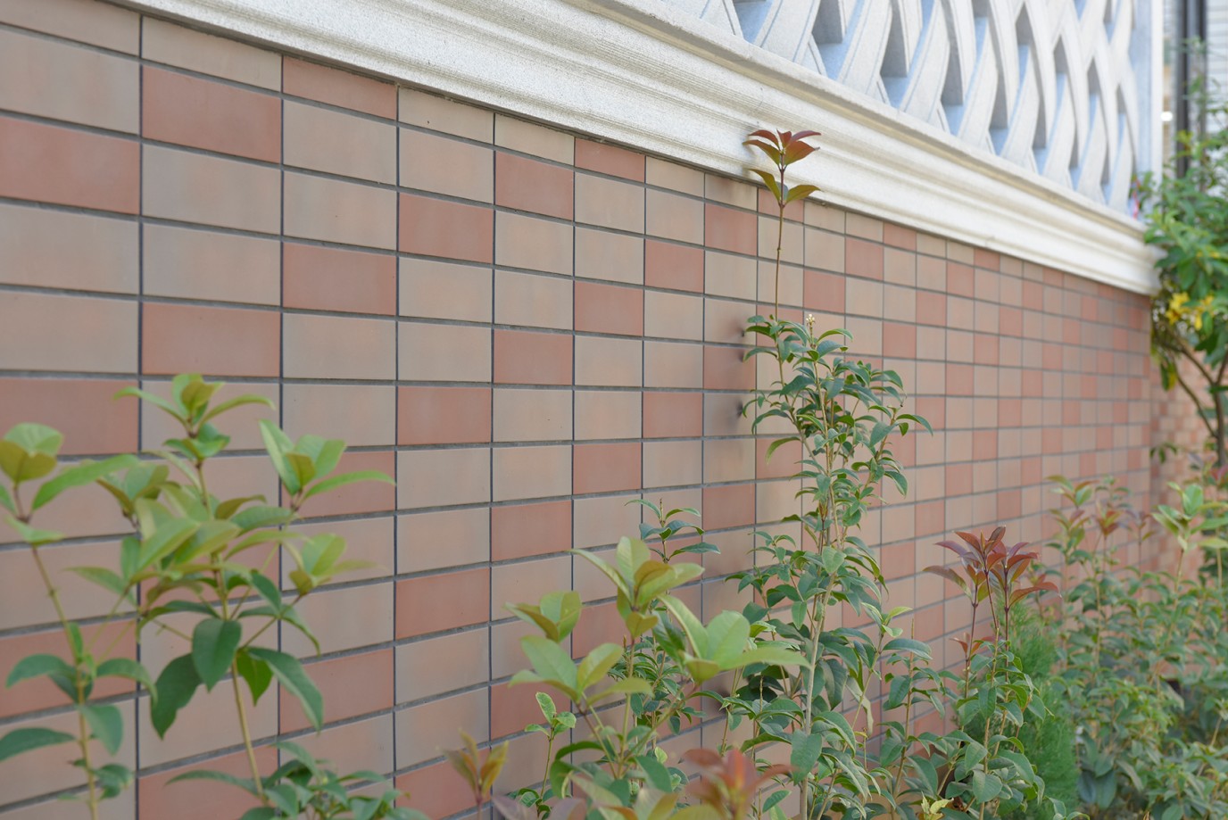 中山零售PE-8-03 (7)