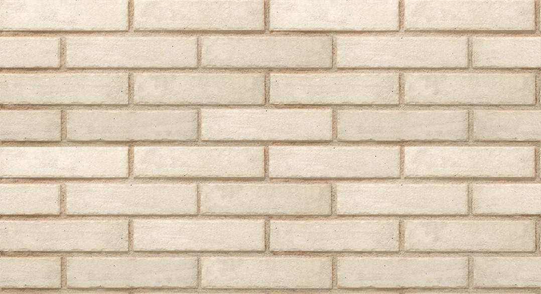 SFF-56-EVG-00_980&520